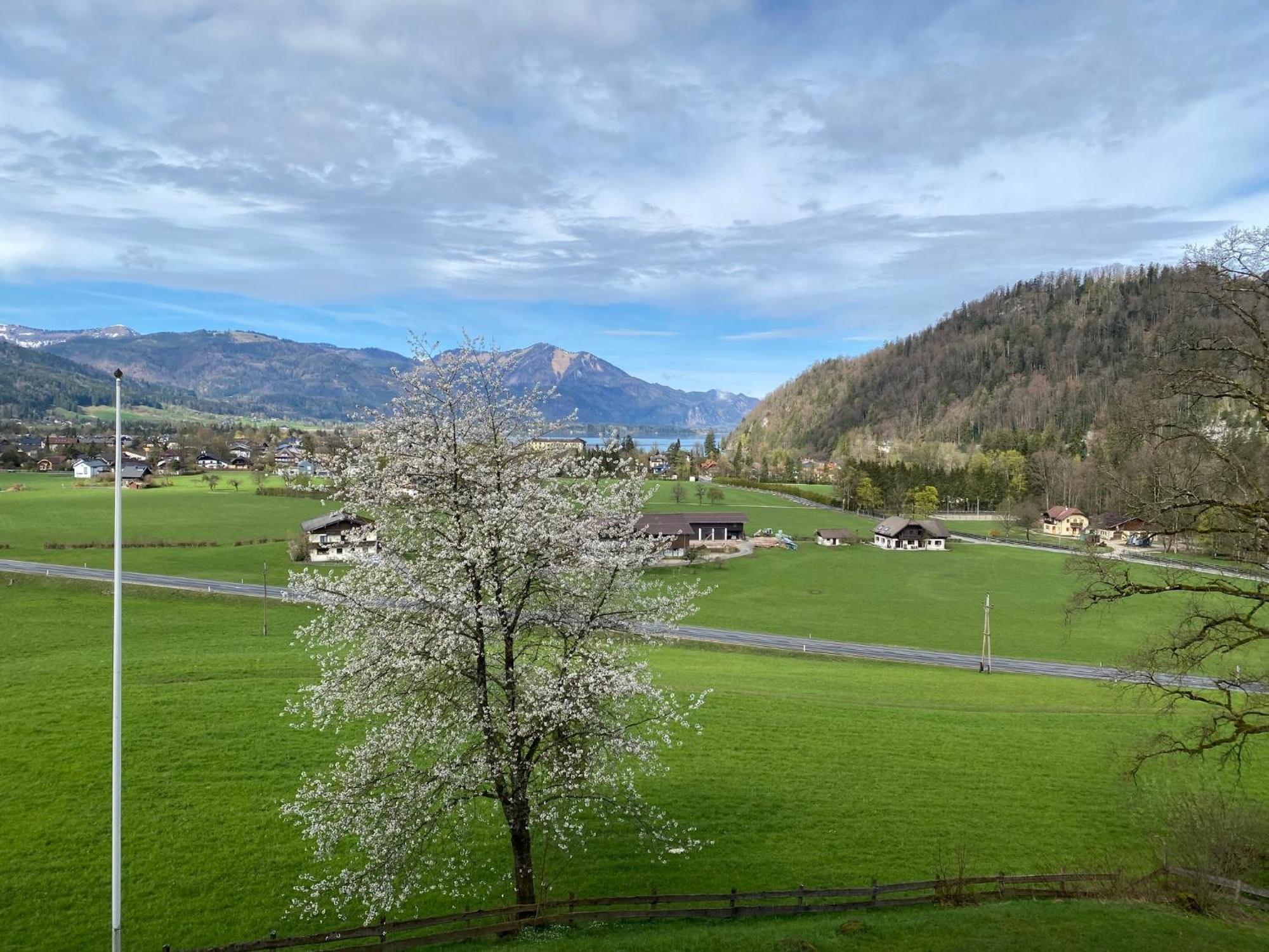 Seeblick 219 Strobl Exteriér fotografie